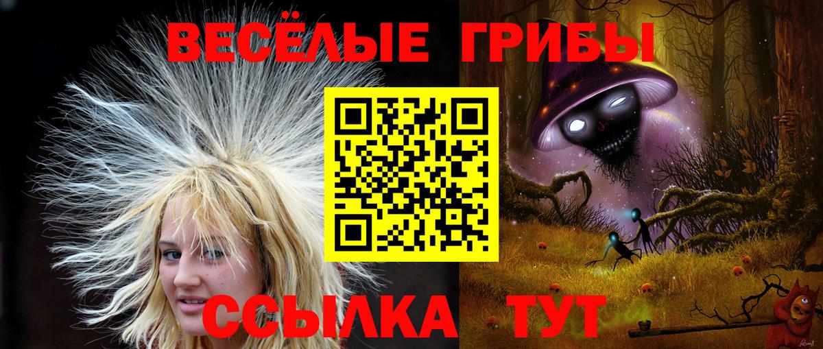 Галлюциногенные грибы Cubensis Чехов