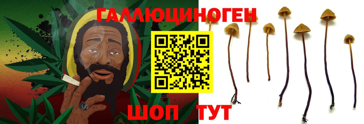 Галлюциногенные грибы ЛСД  Вход с VPN  Чехов  Галлюциногенные грибы мицелий 